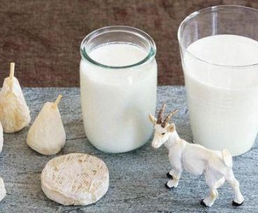 国产纯羊奶测评视频大全,品质与口感的完美融合